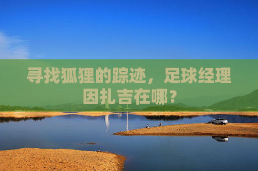 寻找狐狸的踪迹，足球经理因扎吉在哪？