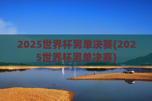 2025世界杯男单决赛(2025世界杯男单决赛)