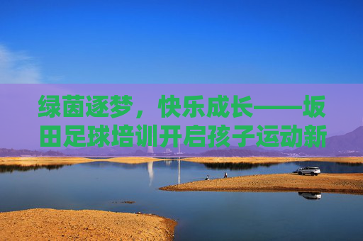 绿茵逐梦，快乐成长——坂田足球培训开启孩子运动新篇章