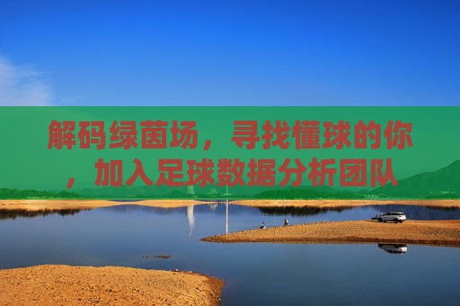 解码绿茵场,寻找懂球的你,加入足球数据分析团队