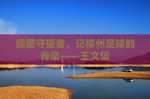 绿茵守望者，记柳州足球的脊梁——王文信