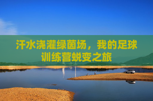 汗水浇灌绿茵场,我的足球训练营蜕变之旅