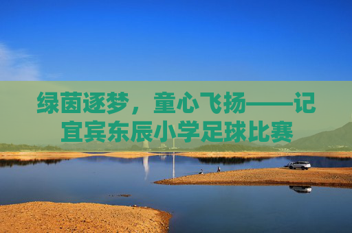 绿茵逐梦,童心飞扬——记宜宾东辰小学足球比赛