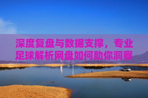 深度复盘与数据支撑，专业足球解析网盘如何助你洞察赛场