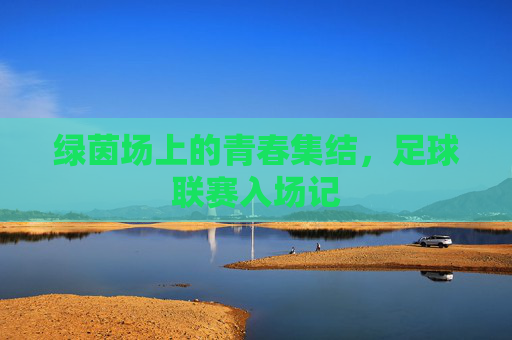 绿茵场上的青春集结,足球联赛入场记