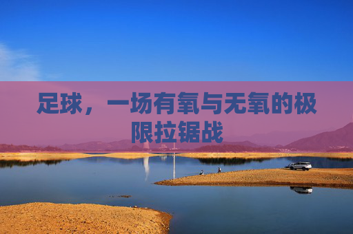 足球,一场有氧与无氧的极限拉锯战