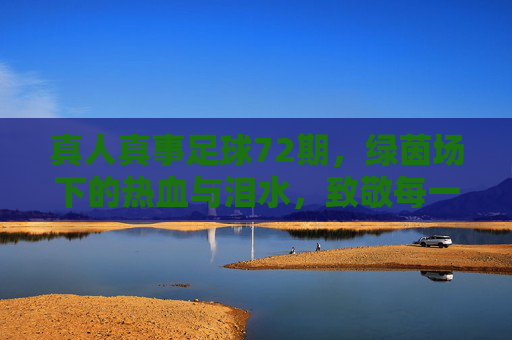 真人真事足球72期,绿茵场下的热血与泪水,致敬每一个追梦人