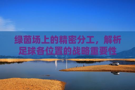 绿茵场上的精密分工,解析足球各位置的战略重要性
