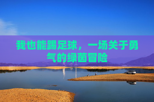我也能踢足球,一场关于勇气的绿茵冒险