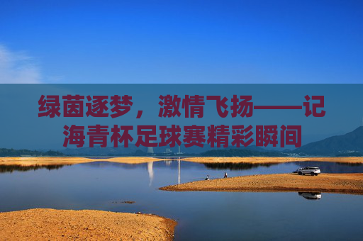 绿茵逐梦,激情飞扬——记海青杯足球赛精彩瞬间