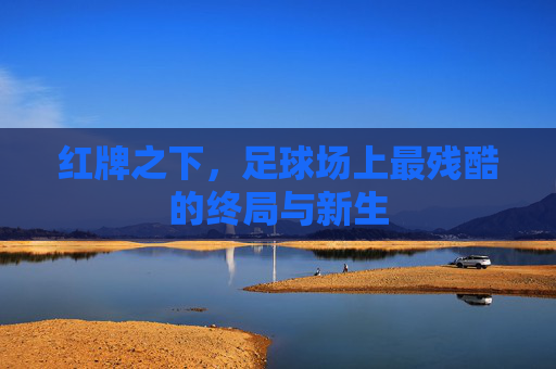 红牌之下,足球场上最残酷的终局与新生