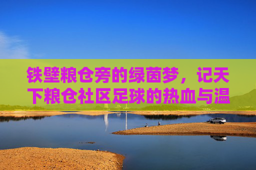 铁壁粮仓旁的绿茵梦，记天下粮仓社区足球的热血与温情
