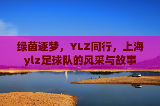 绿茵逐梦,YLZ同行,上海ylz足球队的风采与故事
