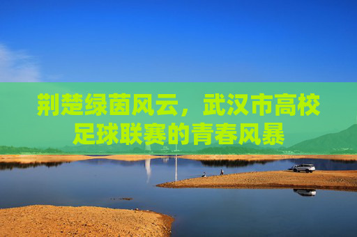 荆楚绿茵风云,武汉市高校足球联赛的青春风暴