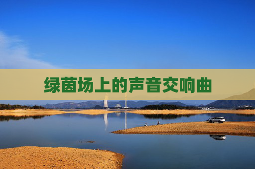 绿茵场上的声音交响曲