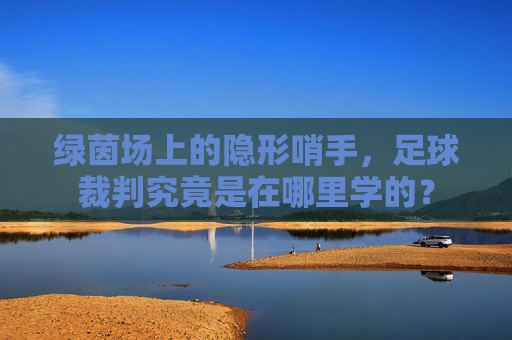 绿茵场上的隐形哨手，足球裁判究竟是在哪里学的？