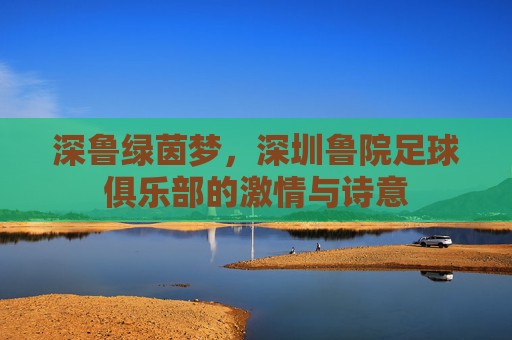 深鲁绿茵梦，深圳鲁院足球俱乐部的激情与诗意
