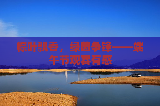 粽叶飘香，绿茵争锋——端午节观赛有感
