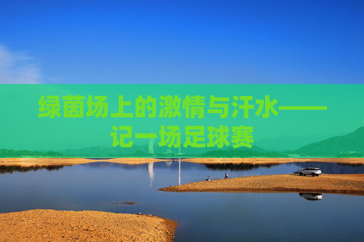 绿茵场上的激情与汗水——记一场足球赛