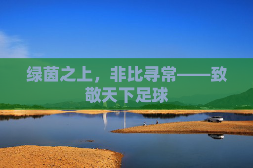 绿茵之上,非比寻常——致敬天下足球