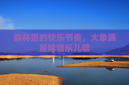 森林里的快乐节奏,大象踢足球音乐儿歌