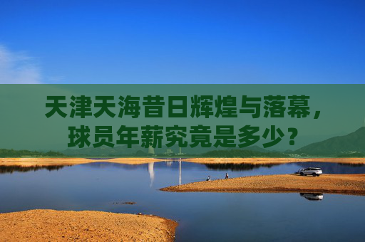 天津天海昔日辉煌与落幕,球员年薪究竟是多少?