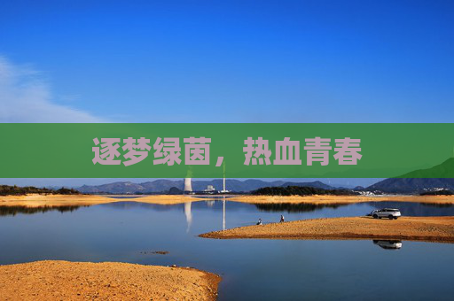 逐梦绿茵,热血青春