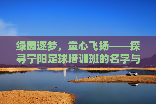 绿茵逐梦,童心飞扬——探寻宁阳足球培训班的名字与内涵