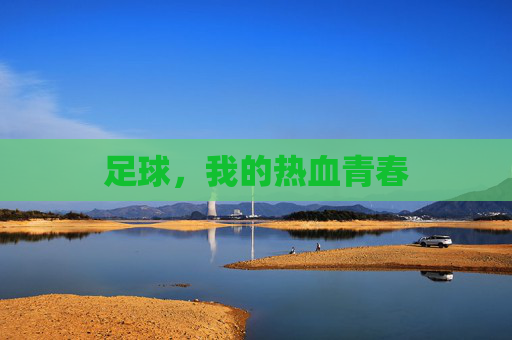 足球,我的热血青春