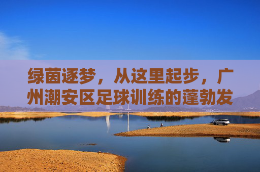 绿茵逐梦,从这里起步,广州潮安区足球训练的蓬勃发展