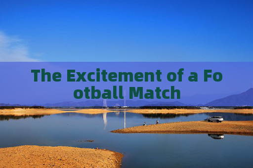 The Excitement of a Football Match
