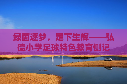 绿茵逐梦,足下生辉——弘德小学足球特色教育侧记