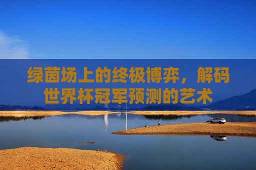 绿茵场上的终极博弈,解码世界杯冠军预测的艺术