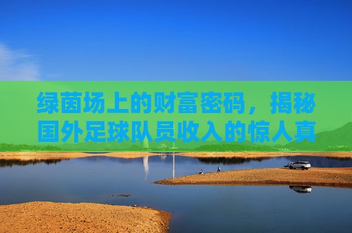 绿茵场上的财富密码,揭秘国外足球队员收入的惊人真相