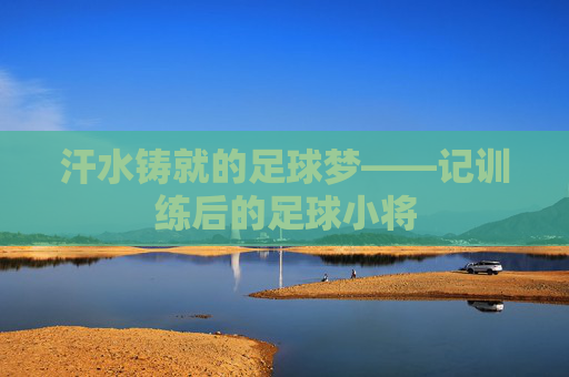 汗水铸就的足球梦——记训练后的足球小将