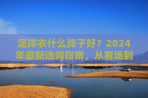 足球衣什么牌子好?2024年最新选购指南,从赛场到街头全解析