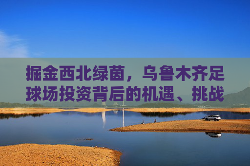掘金西北绿茵,乌鲁木齐足球场投资背后的机遇、挑战与未来蓝图