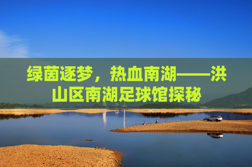绿茵逐梦,热血南湖——洪山区南湖足球馆探秘