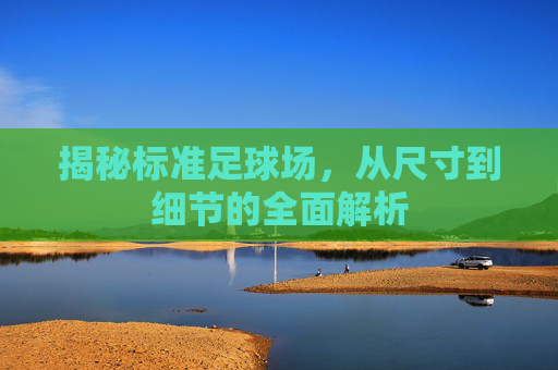 揭秘标准足球场，从尺寸到细节的全面解析