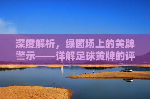 深度解析,绿茵场上的黄牌警示——详解足球黄牌的评判标准