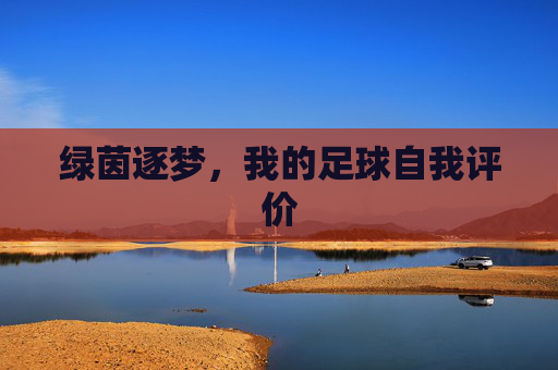 绿茵逐梦,我的足球自我评价