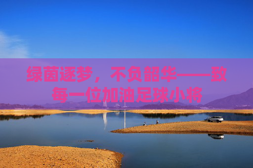 绿茵逐梦,不负韶华——致每一位加油足球小将
