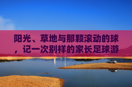 阳光、草地与那颗滚动的球，记一次别样的家长足球游戏随笔