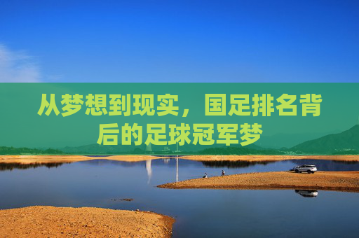 从梦想到现实,国足排名背后的足球冠军梦
