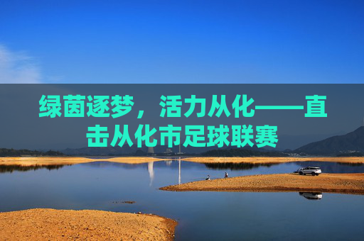 绿茵逐梦,活力从化——直击从化市足球联赛