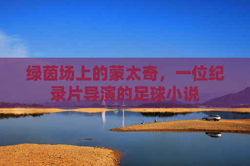 绿茵场上的蒙太奇,一位纪录片导演的足球小说