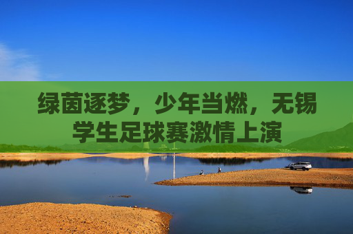绿茵逐梦,少年当燃,无锡学生足球赛激情上演