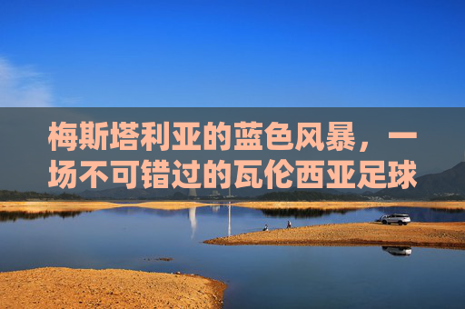梅斯塔利亚的蓝色风暴,一场不可错过的瓦伦西亚足球赛