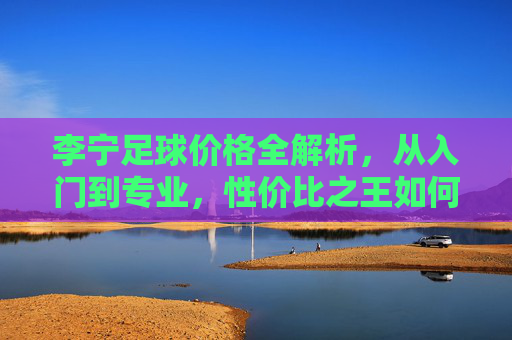 李宁足球价格全解析,从入门到专业,性价比之王如何定义?
