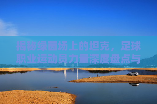 揭秘绿茵场上的坦克,足球职业运动员力量深度盘点与排名